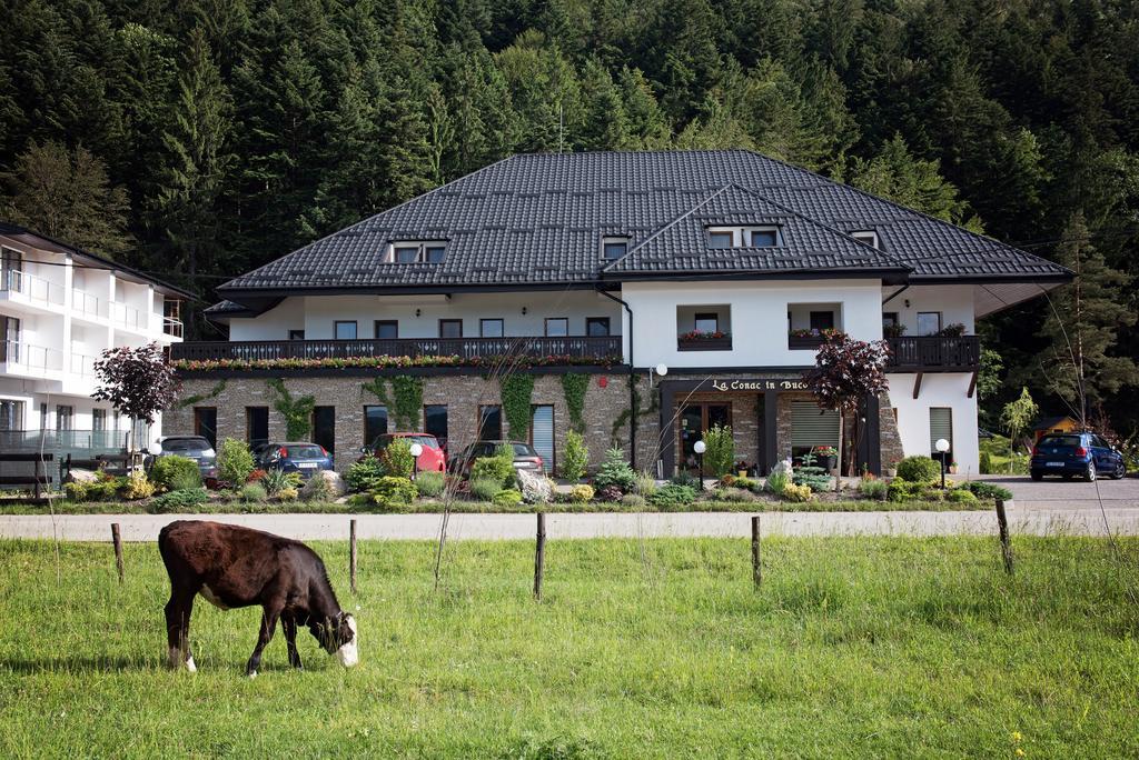 La Conac In Bucovina Hotel Gura Humorului Buitenkant foto